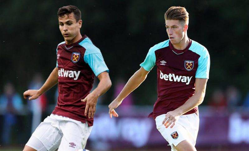 更因为它们 更因为它们